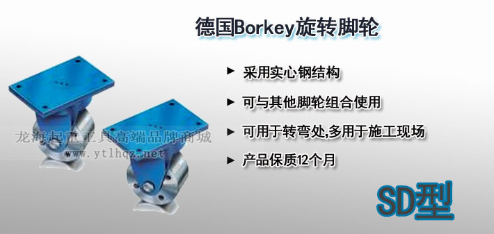 SD型Borkey旋轉腳輪圖片 SD型Borkey旋轉腳輪圖片